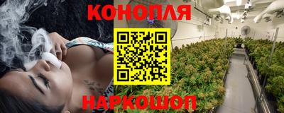 jwh Будённовск