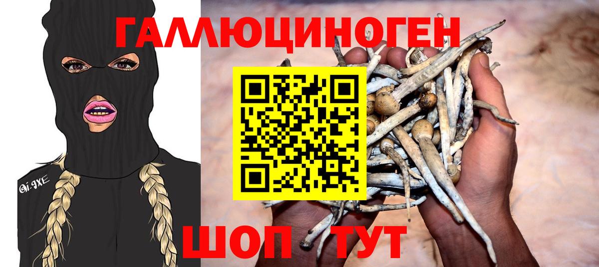 Псилоцибиновые грибы Psilocybe Щёлково